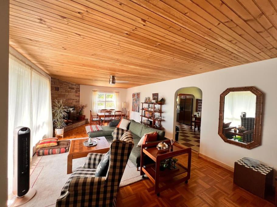 The Mod Bearsville