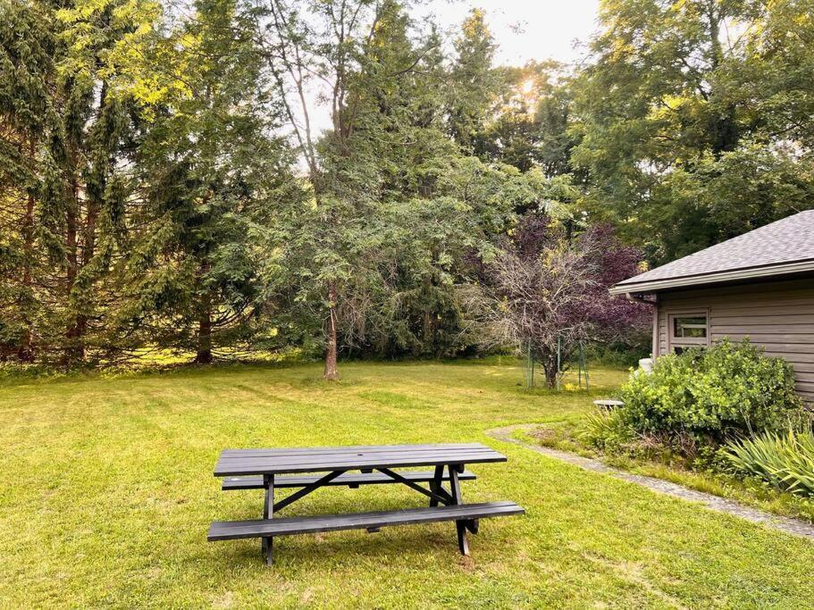 The Mod Bearsville